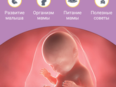 Сегодня ПДР
