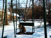 Хороша погодка ?