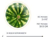 39 недель.