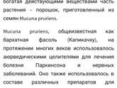 Кто принимал Капикачху?)))