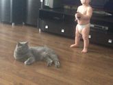 Утро начинается... начинается))