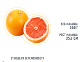 21 неделя ?