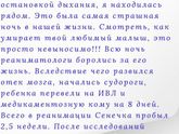 Прививка