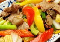 Мясо с овощами. Лучшие рецепты мяса с овощами в духовке, на сковороде и в мультиварке