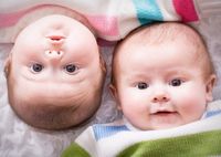 Беременность двойней: признаки и развитие