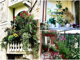 Идеи для вдохновения: сад мечты на обычном балконе