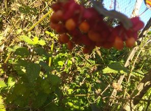 IMG_20181015_105921