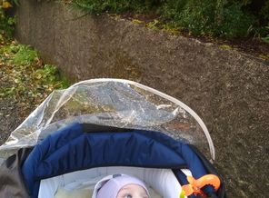 IMG_20180923_171018
