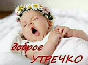 IMG-20180329-WA0002
