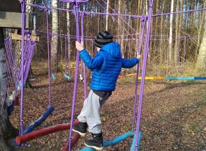 IMG_20181102_144150.jpg
