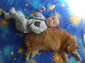 С старшим котом - размеры почти одинаковы))