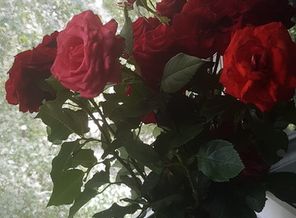 20180708_112452