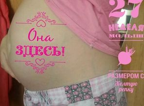 malyshi_image_15227201372