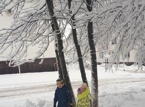 20190107_100844