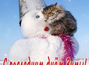 IMG-20190228-WA0000