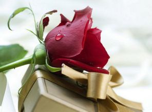006c1ce3a0f14dafe0ec925c8384684675c.840x560