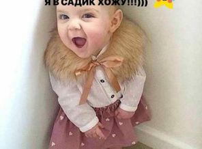IMG-20190206-WA0006