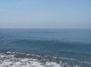 IMG-20180812-WA0010