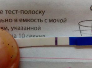 IMG_20181229_165653.jpg