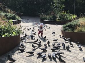 IMG-20180823-WA0012