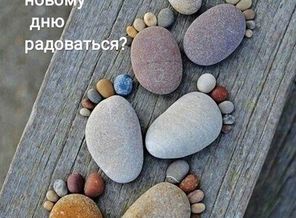 IMG-20180705-WA0003
