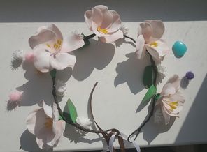 20180504_094230