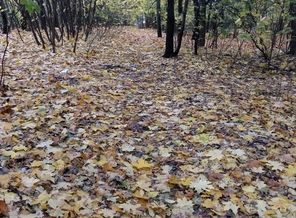 IMG_20181025_103114