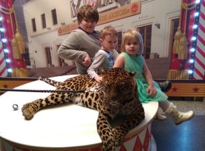 IMG_20190310_092941_549