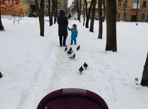 2016-01-27.jpg