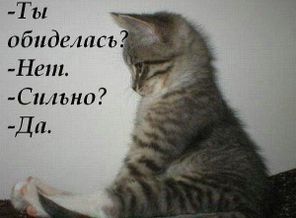 JobDQplmBNk