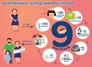 vhfet8kqHLA