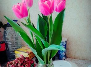 IMG_20180308_141503080