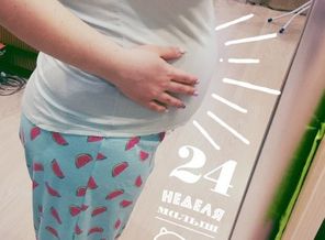 24 неделя