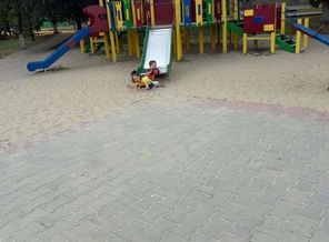IMG_20180630_134550
