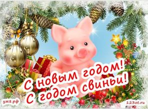 image(8)
