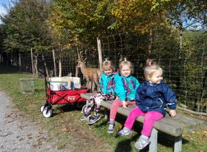 IMG-20181010-WA0045