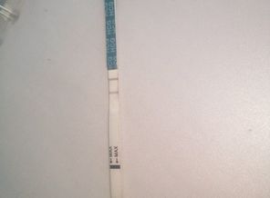 1544788613259
