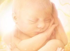Screenshot_20190304-132011_Pregnancy +