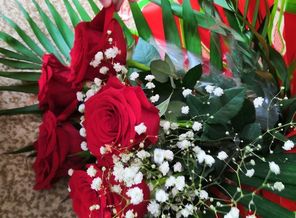 IMG_20190308_163223
