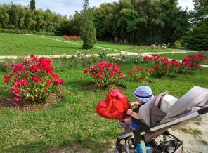 IMG_20180518_160531_HDR