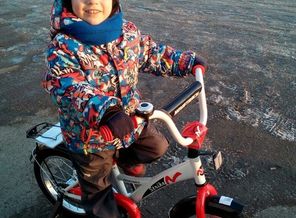 IMG-20180216-WA0035