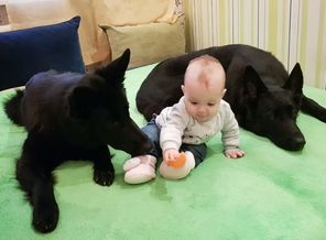 IMG-20180927-WA0009