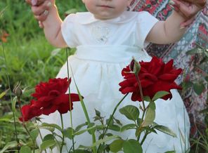 IMG_6407(1)