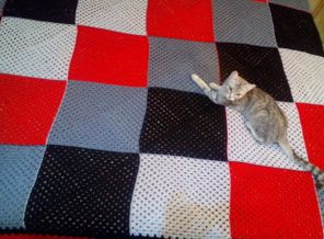 IMG_20170320_225114.jpg