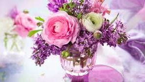 images (2)_1504456334702