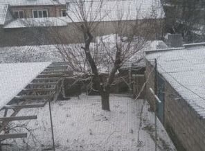IMG-20190107-WA0006