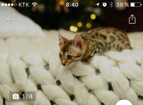 IMG-489beff5b8acc6c30fe3d4f15846576f-V