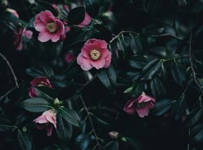 4c1d465d-e963-4173-b3ab-faf62741af9e.png