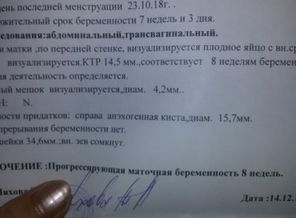 JPEG_1545522197076-1557677620