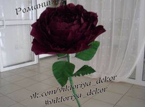 SAM_1902.jpg